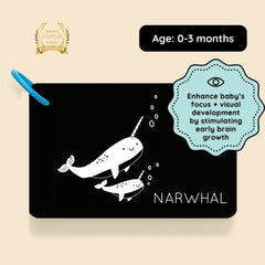 High - Contrast Vision Development Cards - Curious Baby Cards - cd - hc - en - rt - dr