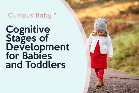 Cognitive Stages of Development for Babies and Toddlers