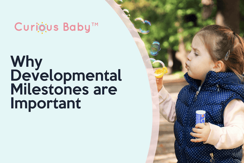 Why Are Developmental Milestones Important to Observe in Babies and Toddlers?