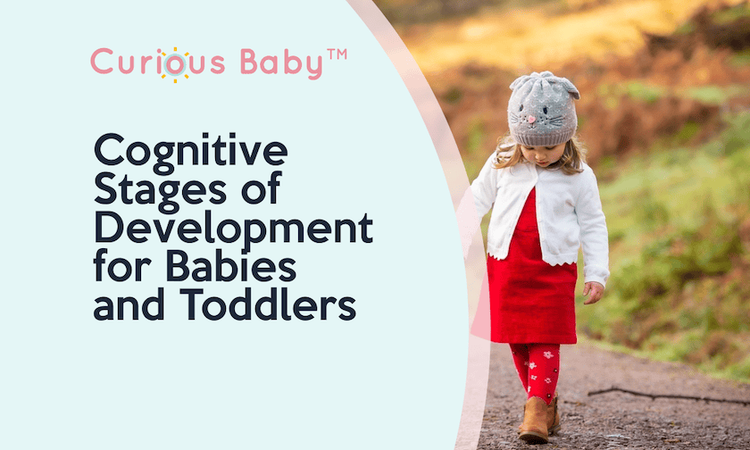 Cognitive Stages of Development for Babies and Toddlers