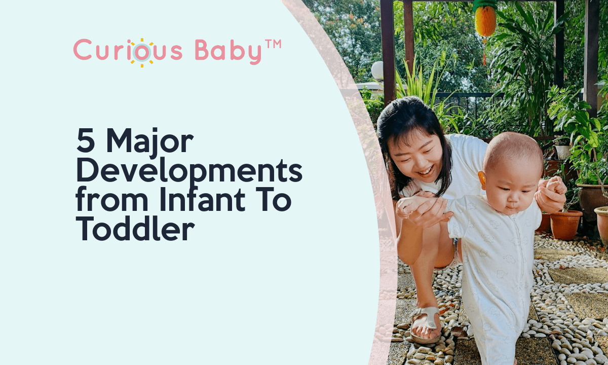 What Are 5 Major Developments from Infant To Toddler? - Curious Baby Cards