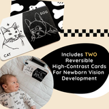 Curious Baby Activity Cards Walmart.com