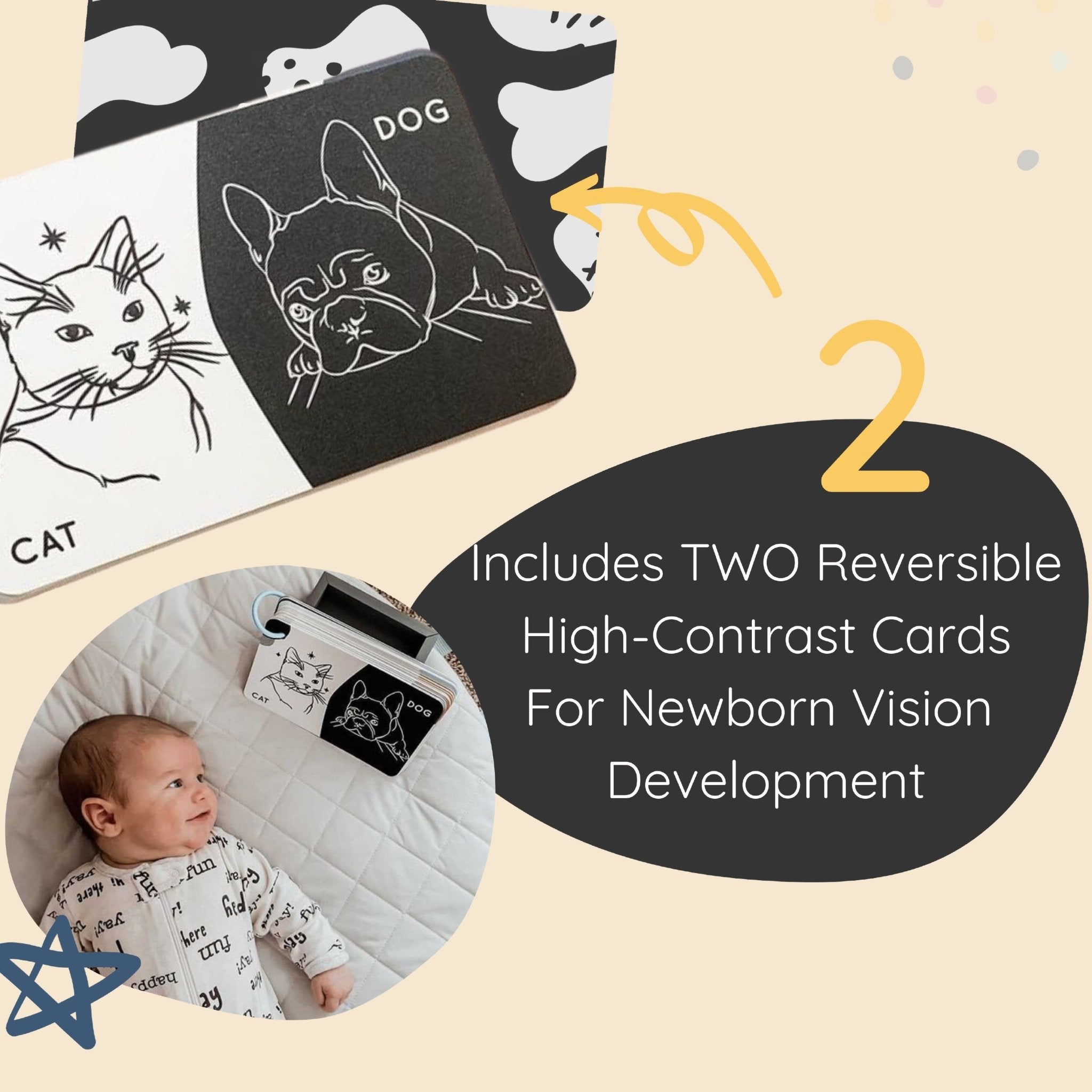 Curious Baby™ Activity Cards (Enfamil Rewards Program Redemption) - Curious Baby Cards - cd - bb - en - rt - el