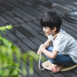 Balance Board