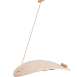 Balance Board