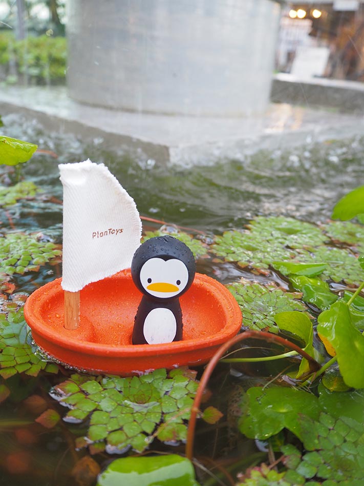 Sailing Boat-Penguin
