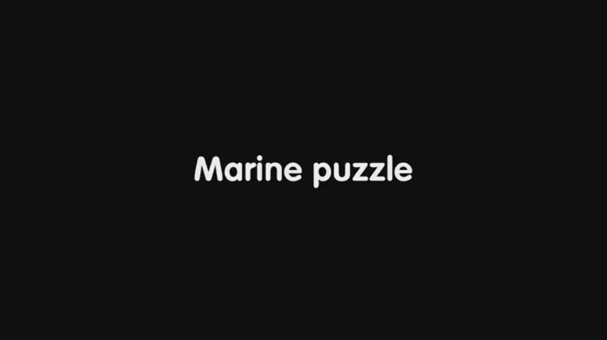 Marine Puzzle