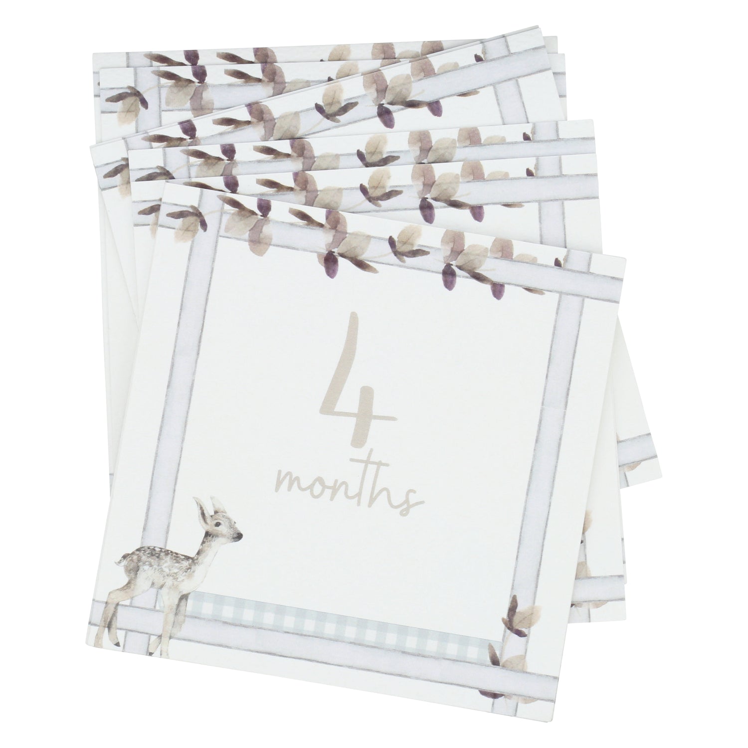 Infant Milestone + Memory Cards (0-12 months)