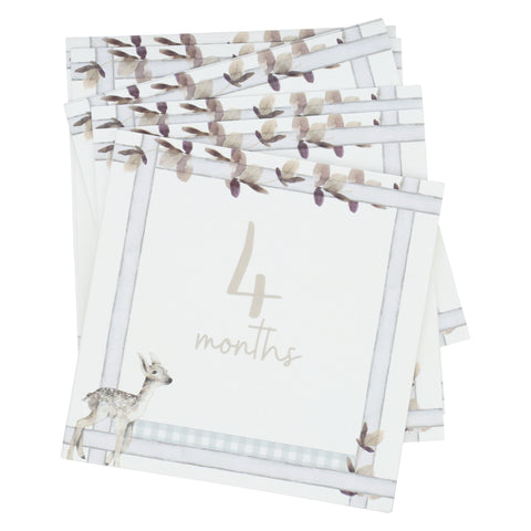 Infant Milestone + Memory Cards (0-12 months)