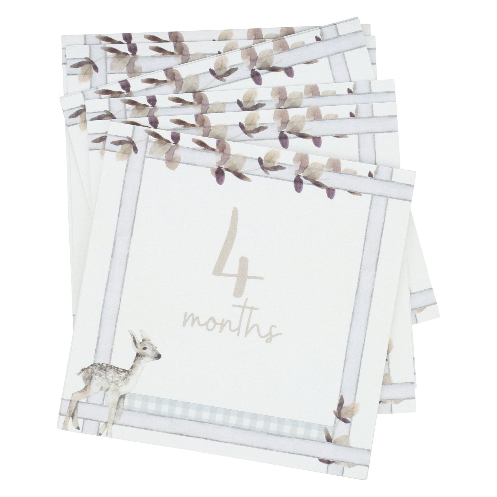 Infant Milestone + Memory Cards (0 - 12 months) - (Enfamil Rewards Program Redemption) - Curious Baby Cards - cd - ms - en - sw - el