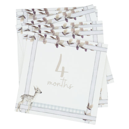 Infant Milestone + Memory Cards (0-12 months) - (Enfamil Rewards Program Redemption)