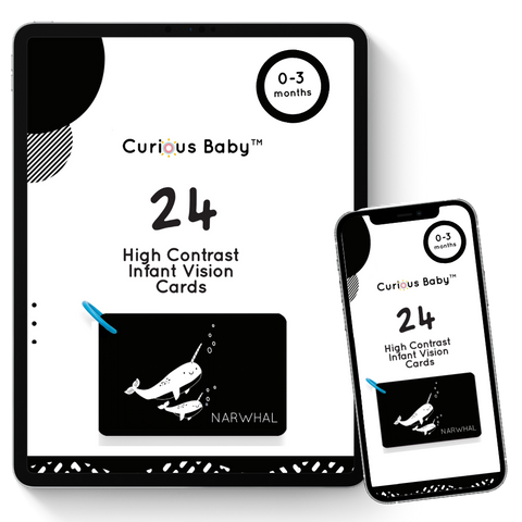 High-Contrast Vision Cards Expansion Set (Digital e-Book, 2024)