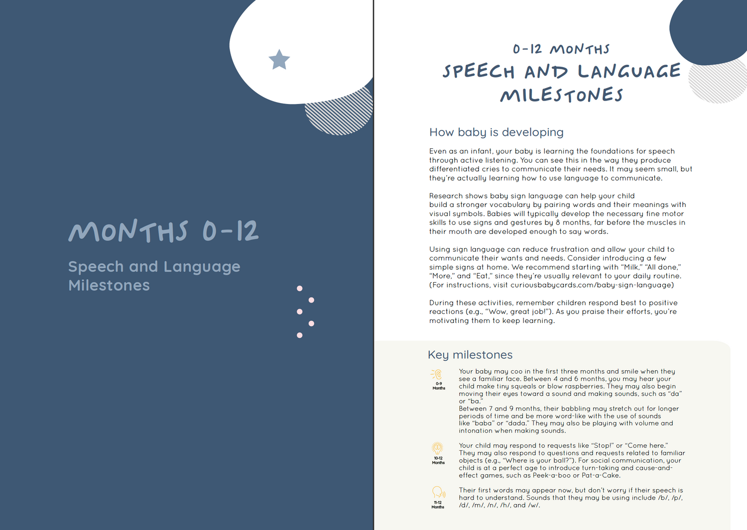 Speech &amp; Language Cards (Digital e-Book, 2023)